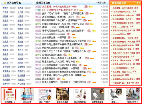 网站栏目分类的种类与重要性解析