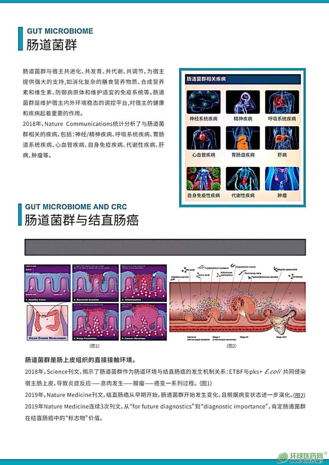 招商网站功能分类表及其应用概述