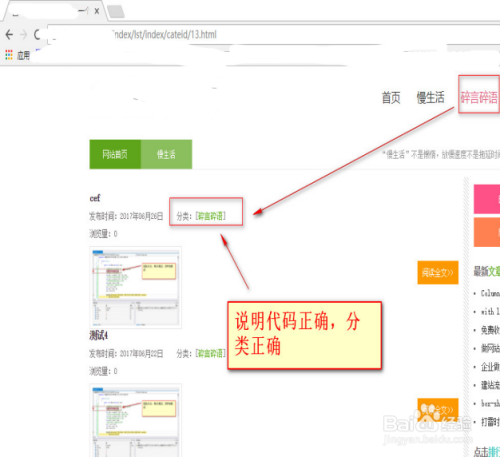 分类网站制作软件全面解析与比较指南