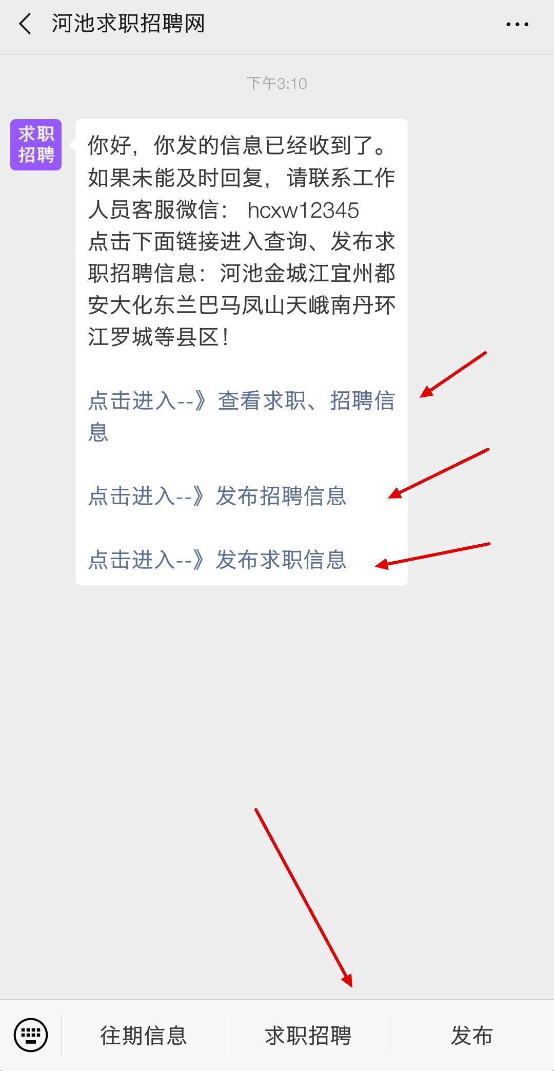 求职招聘网站栏目分类详解，探索与解析