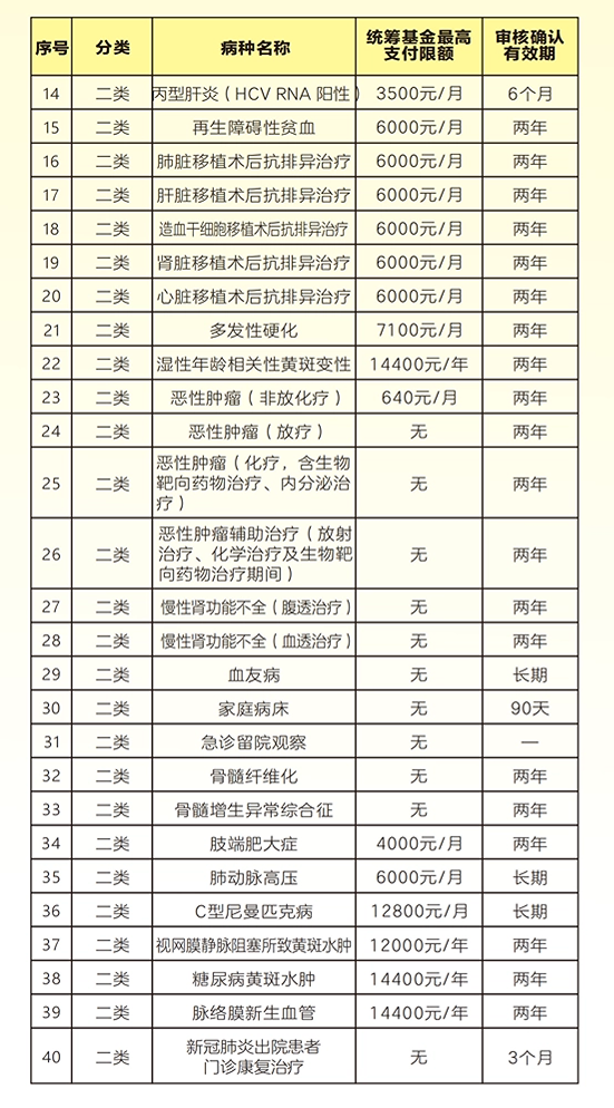 网站病毒分类标准详解，深入理解与应对之道