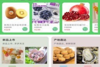 食品网站分类与构建清晰架构的指南