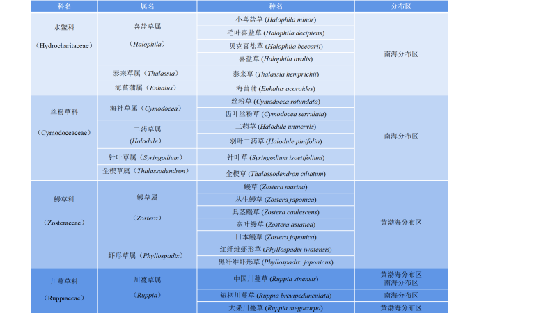 中国名物分类查询网站，文化宝藏的探秘之旅