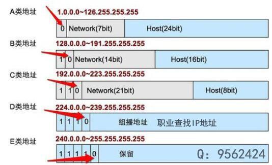 珊瑚分类网站搜索指南大全