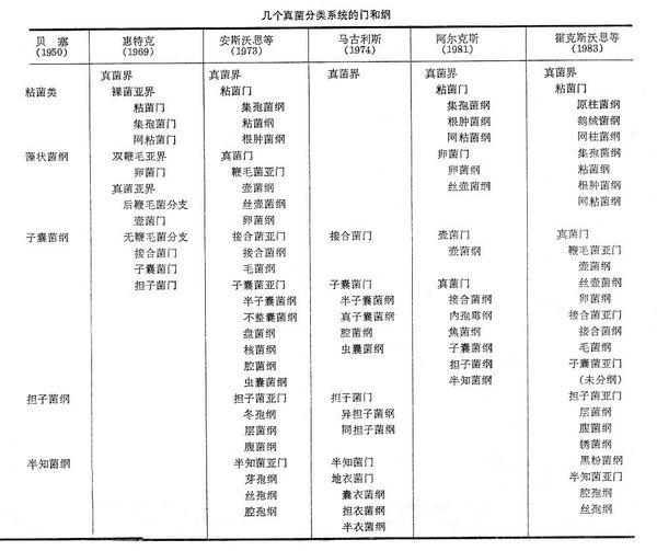 真菌分类网站，探索微观世界的指南