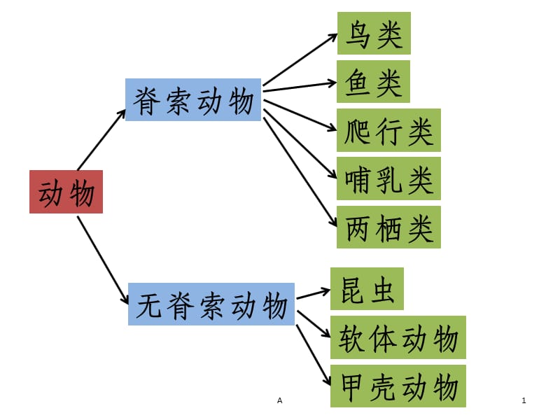 动物分类教案网站设计图与教案内容深度解析