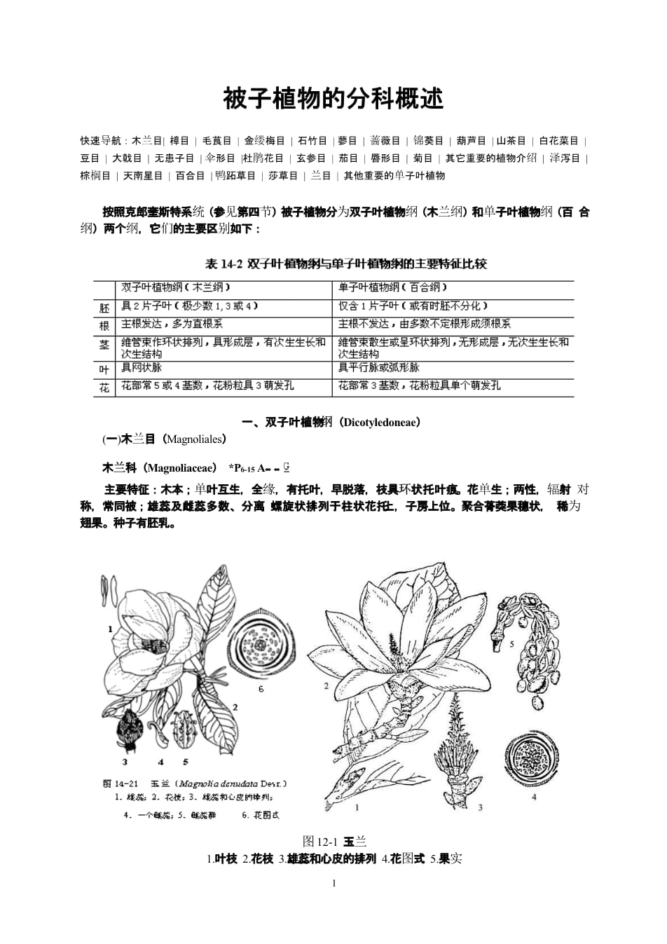 被子植物分类宝藏探索，推荐优秀分类网站