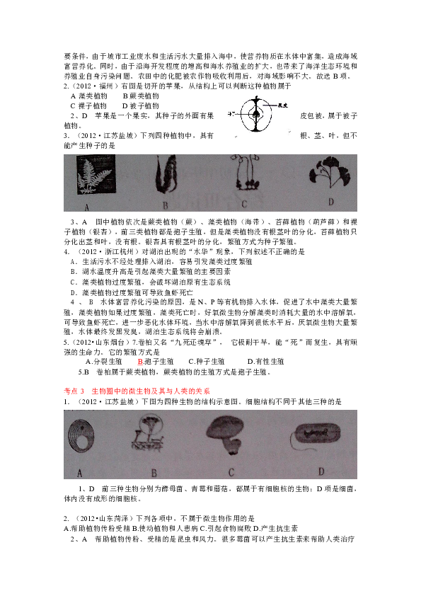 生物学物种分类网站大全，探索生命多样性的数字化探索平台