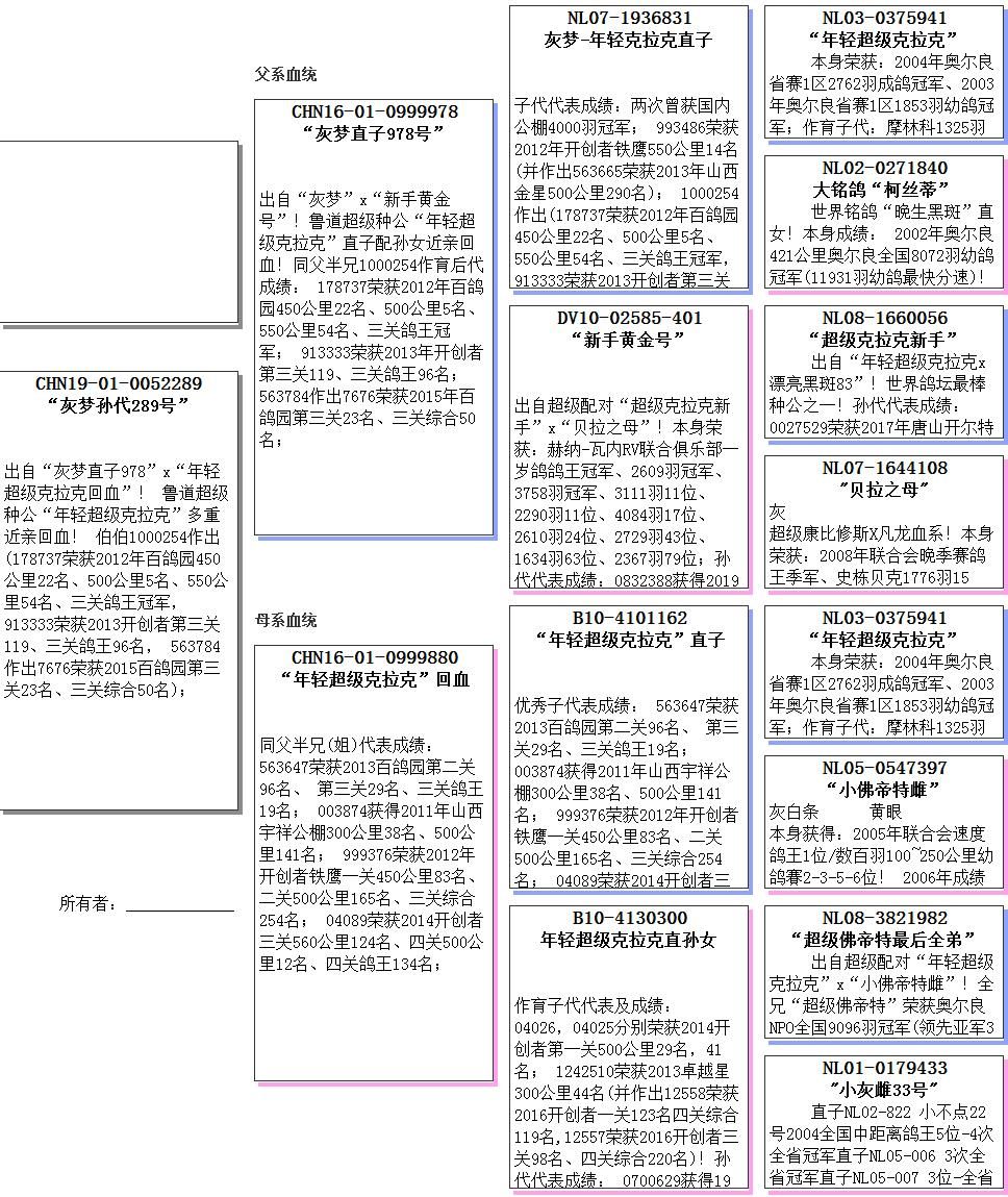 在线拍卖方式种类及网站分类，揭示行业多元面貌的深入探索