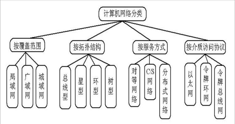 计算机网站分类概览与涵盖内容概述