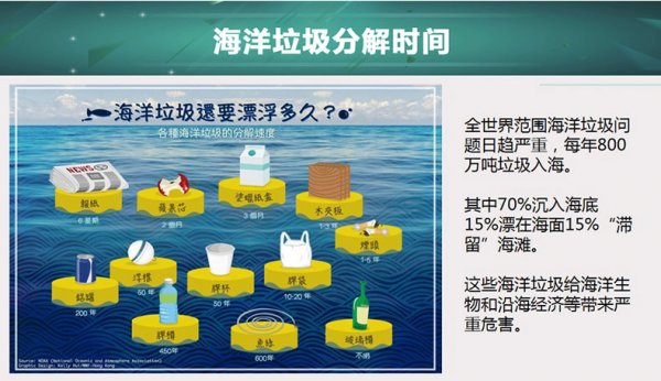 海洋垃圾分类网站的重要性与推荐指南