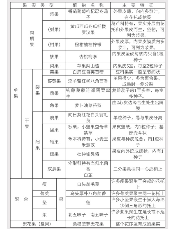 举例说明网站有哪些分类