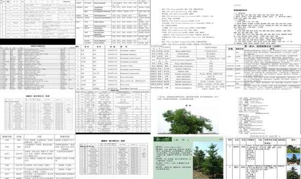 树种分类查询一站式平台，便捷解决树种信息查询需求