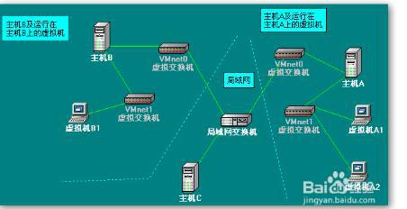 网站分类与网络连接类型概览