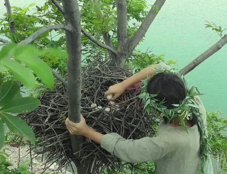 动物大分类图片大全，探索奇妙动物世界的网站门户