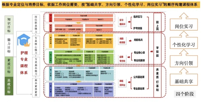 学校网站建设分类标准表及其应用指南