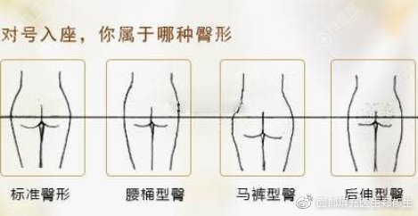 女性臀型分类视频网站